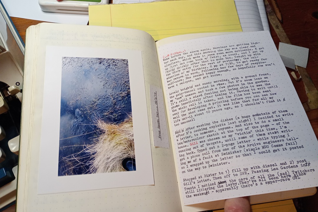 adding typed pages **and** photo of Frog-Spawn Day adding typed pages **and** photo of Frog-Spawn Day